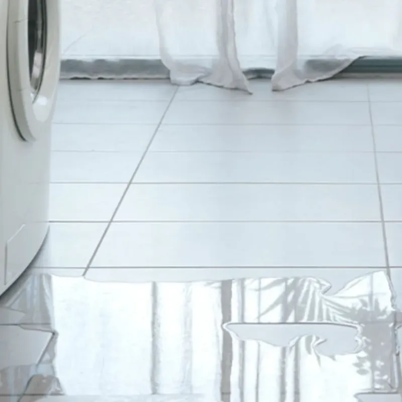 Appliance Leak Cleanup in Lebanon, IL