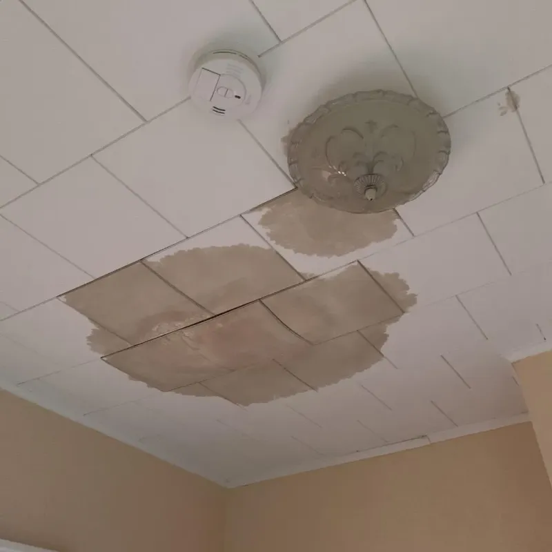 Ceiling Water Damage Repair in Lebanon, IL