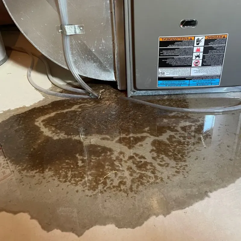 Pipe Burst and Leak Restoration in Lebanon, IL