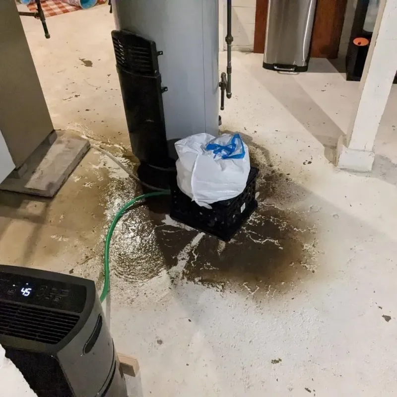 Sewage Backup Cleanup Service in Lebanon, IL